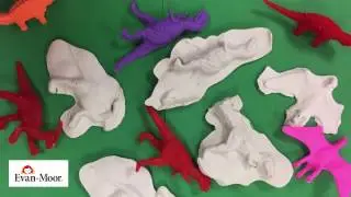 Dinosaur Fossils: Earth Science Activity