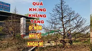 Quá khủng cái bộ tàng đế như củ khoai mì 0907813169