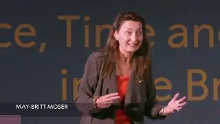 &ldquo;If you relax, you&rsquo;re more creative&rdquo; May-Britt Moser, Nobel Prize in Physiology or Medicine