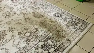From extremely trodden to almost like new: the enchanting transformation of the carpet!