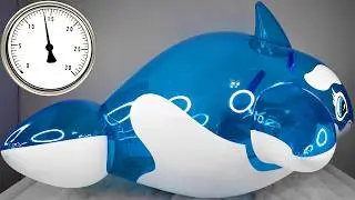 How Much Pressure Is in an Inflatable Pool Toy?