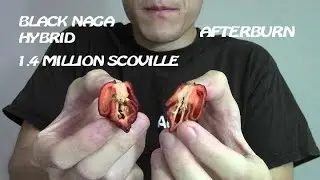 Black Naga Hybrid (1,400,000 Scovilles?) | Afterburn