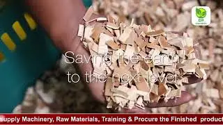 Areca leaf plates manufacturing process DP EXPORTS Bangalore Supply Machinery, Training