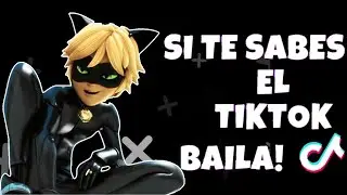 SI TE SABES EL TIKTOK BAILA! - RECOPILACIÓN 2020