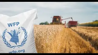 World Food Programme🇺🇳🌎 is the world&rsquo;s largest humanitarian organization saving lives