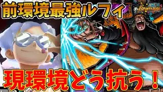 【前環境最強】黒ひげ登場後かなりきつくなった白ニカルフィ！現環境どう抗う?【バウンティラッシュ】!