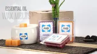 OSA9482 Electric Wax Warmer & Wax Melt Gift Set