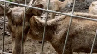 Bentang alam Wisata Kabupaten Probolinggo 