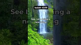 Something new #scripture #bibleverse #fyp #bibleversecorner #bible #viral #quotes #motivation #facts