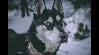 Little Si | Fully snow covered