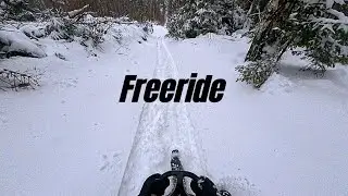Stiga Snowracer GT - Freeride