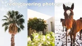 Rediscovering Photography