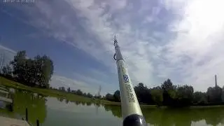 Feeder Fishing Italy - Carassio