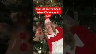 Your Elf on the Shelf when Christmas is over #elfontheshelf #christmas #shorts