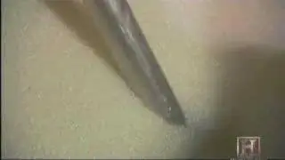 Danger From Corn Fuel