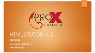 HTML + CSS Tutorials for Beginners Part 11 - Background CSS - Basic to Advanced - ProgrammerX