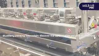 Blueberry packing innovation: discover the G3 Evolution weigh & fill machine | Milbor PMC