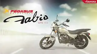 যমুনা অটোমোবাইলস এর পেগাসাস ফ্যাবিও ১২৫ সিসি বাইক - Pegasus Fabio 125cc Bike by Jamuna Automobiles