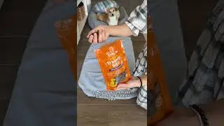 Super easy dog enrichment activity with Zesty Paws Training Bites! #dogenrichment #dogtreats #corgi