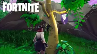 Fortnite | Season 8 Week 6 - Secret Banner LOCATION!