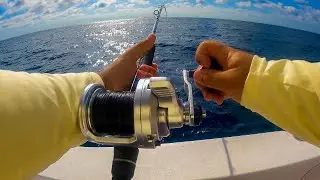 Drift fishing OFFSHORE for GROUPER & SNAPPER - Just one of those days