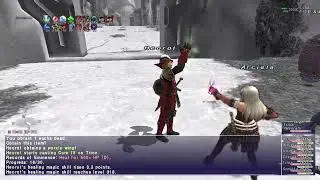 Final Fantasy XI #558, Grinding in Escha - Ru'Aun (156)