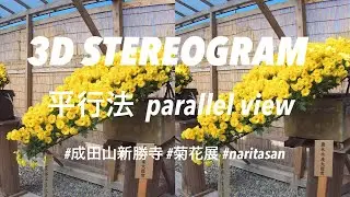 STEREOGRAM (Parallel View 3D VR) | 平行法☆ステレオグラム | P27 STEREOSCOPIC