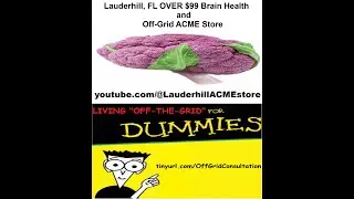 Taming the Monkey Mind, Money & Magnetism Monday's, Sunrise #694, & MORE!