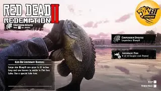 Catching Legendary Bluegill with Kieran - Red Dead Redemption 2 - Black Tiger #rdr2 #arthurmorgan