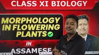 Morphology of Flowering Plants | Class XI Biology in Assamese | Mahanta Sir 