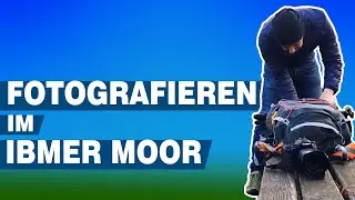 Fr&uuml;h morgens im Ibmer Moor