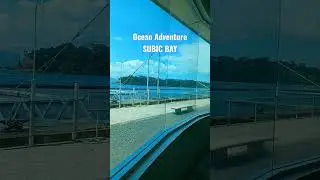 Discover the wonders of the deep blue sea in Subic Bay! 🐠🌊🐬 #SubicOceanAdventure