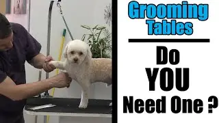 Are Dog Grooming Tables Important For Pet Owners ?