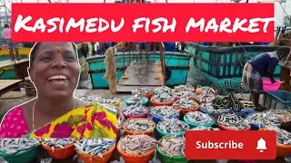“Kasimedu Fish Market Vlog 🐟 | From Ocean to Market – Chennai’s Seafood Journey