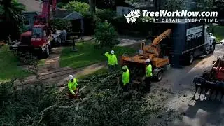 Tree removal with crane in the Orlando area.