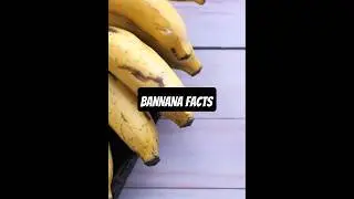Facts to drive you BANANAS!
