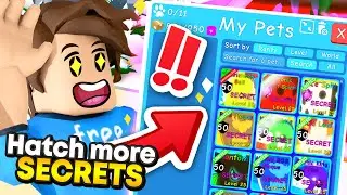 *EASIEST* SECRET PETS To Get In BubbleGum Simulator (Roblox)