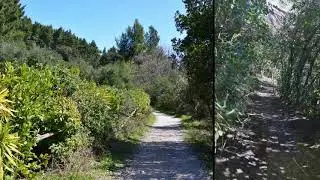 Monte Conero Passo del Lupo