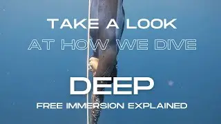 Freediving Explained: Free Immersion with Frank