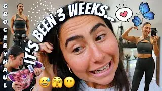 WHERE THE HECK I'VE BEEN | full upper body workout, grocery haul, and upcoming projects