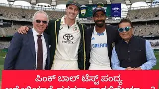 Australia vs India Border Gavaskar test Series  Pink ball test match Australia can come back..??
