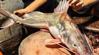 Saddam All Fish Cutting Skills | Big Snapper Fish Cutting Skills In Fish Market #fish​ 🐟🔪🐠