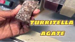 Working with TURRITELLA AGATE (it was tough but amazing!) #polishingstones #lapidary