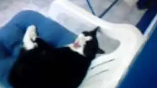 R&ouml;pser