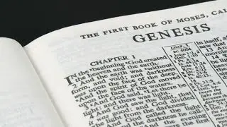 Genesis 44 KJV Read Along