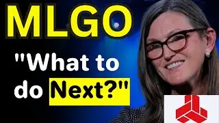 MLGO Stock: (MicroAlgo stock) MLGO STOCK PREDICTIONS MLGO STOCK Analysis MLGO stock news today