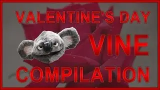 Vine compilation: Valentine's Day