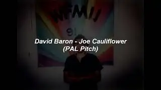 David Baron - Joe Cauliflower (PAL Pitch)