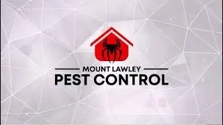 Mount Lawley Pest Control Theme Song
