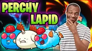 RANK 100 DOUBLE PERCH BUILD | LEADERBOARDS | AXIE INFINITY ORIGINS